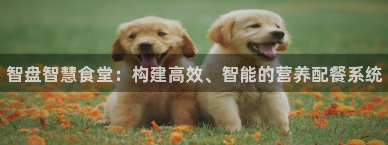 尊龙人生就是博登录首页