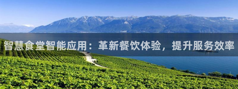 凯时在线平台官网