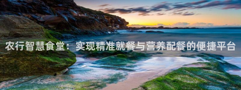 凯时登录平台去AG发财网