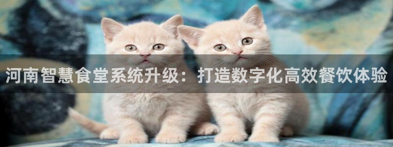 尊龙体育游戏平台：河南智慧食堂系统升级：打造数字化高效餐饮体