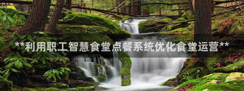 d88尊龙可靠送38元