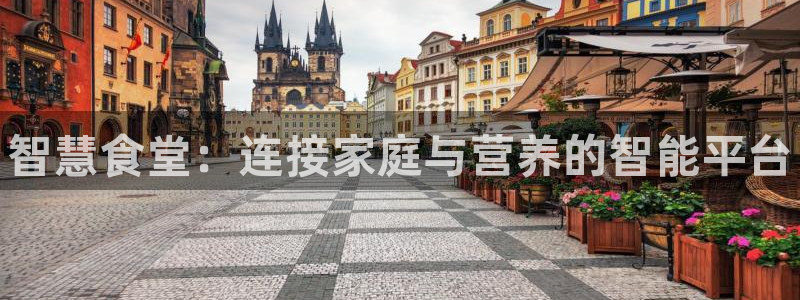 凯时k66会员登录