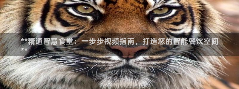 尊龙人生就是搏