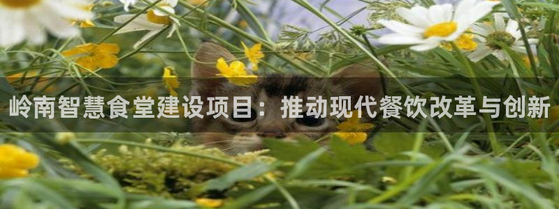 尊龙手机客户端下载APP