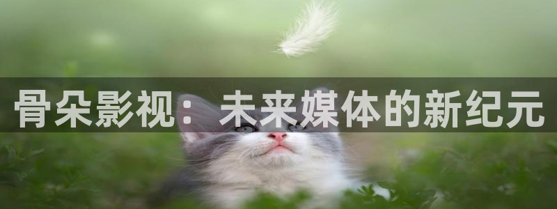 苍苍影院在线播放：骨朵影视：未来媒体的新纪元
