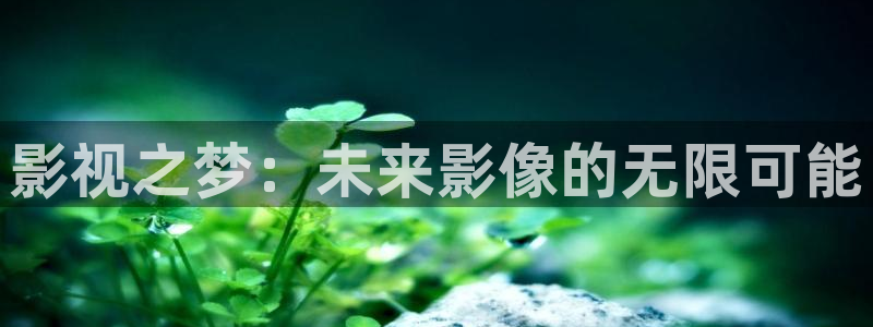 午夜苍苍影院：影视之梦：未来影像的无限可能
