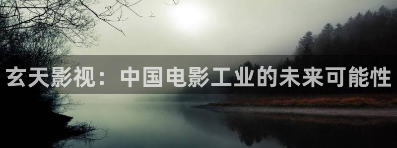 午夜苍苍影院：玄天影视：中国电影工业的未来可能性