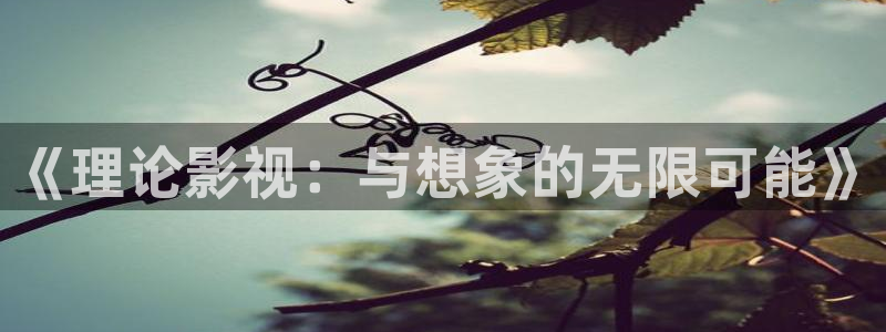 苍苍影院：《理论影视：与想象的无限可能》