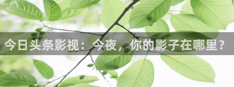 苍苍影院免费观看的电视剧：今日头条影视：今夜，你的影子在哪里？