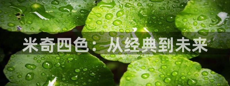 苍苍影视在线观看：米奇四色：从经典到未来
