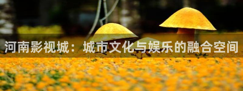 苍苍影院在线播放：河南影视城：城市文化与娱乐的融合空间