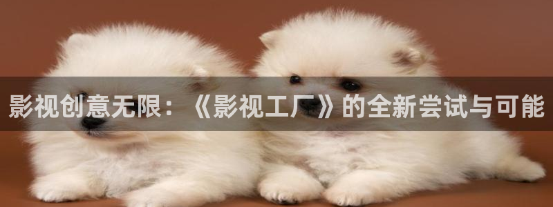 4480yy苍苍私人影院：影视创意无限：《影视工厂》的全新尝试与可能