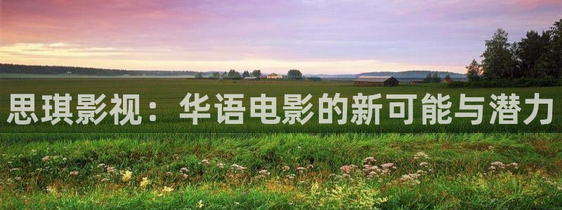 苍苍影院免费观看的电视剧：思琪影视：华语电影的新可能与潜力