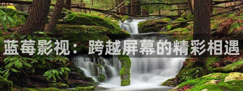 苍苍影院午夜最新：蓝莓影视：跨越屏幕的精彩相遇