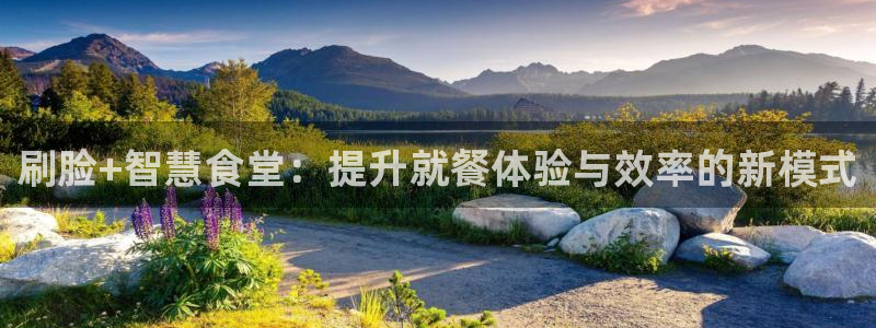 尊龙凯时合法吗?：刷脸+智慧食堂：提升就餐体验与效率的新模式